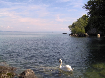 appartement locations de vacances Bernex